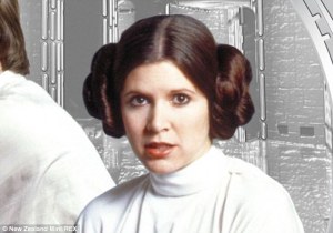 Princess Leia Bun