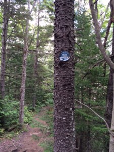 TrailMarker