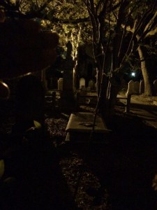 DarkCemeteryCharleston