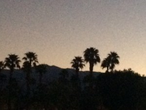 PalmDesertSunset