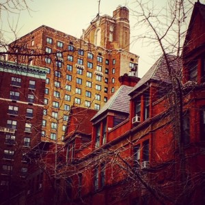 sceneabovecookieline