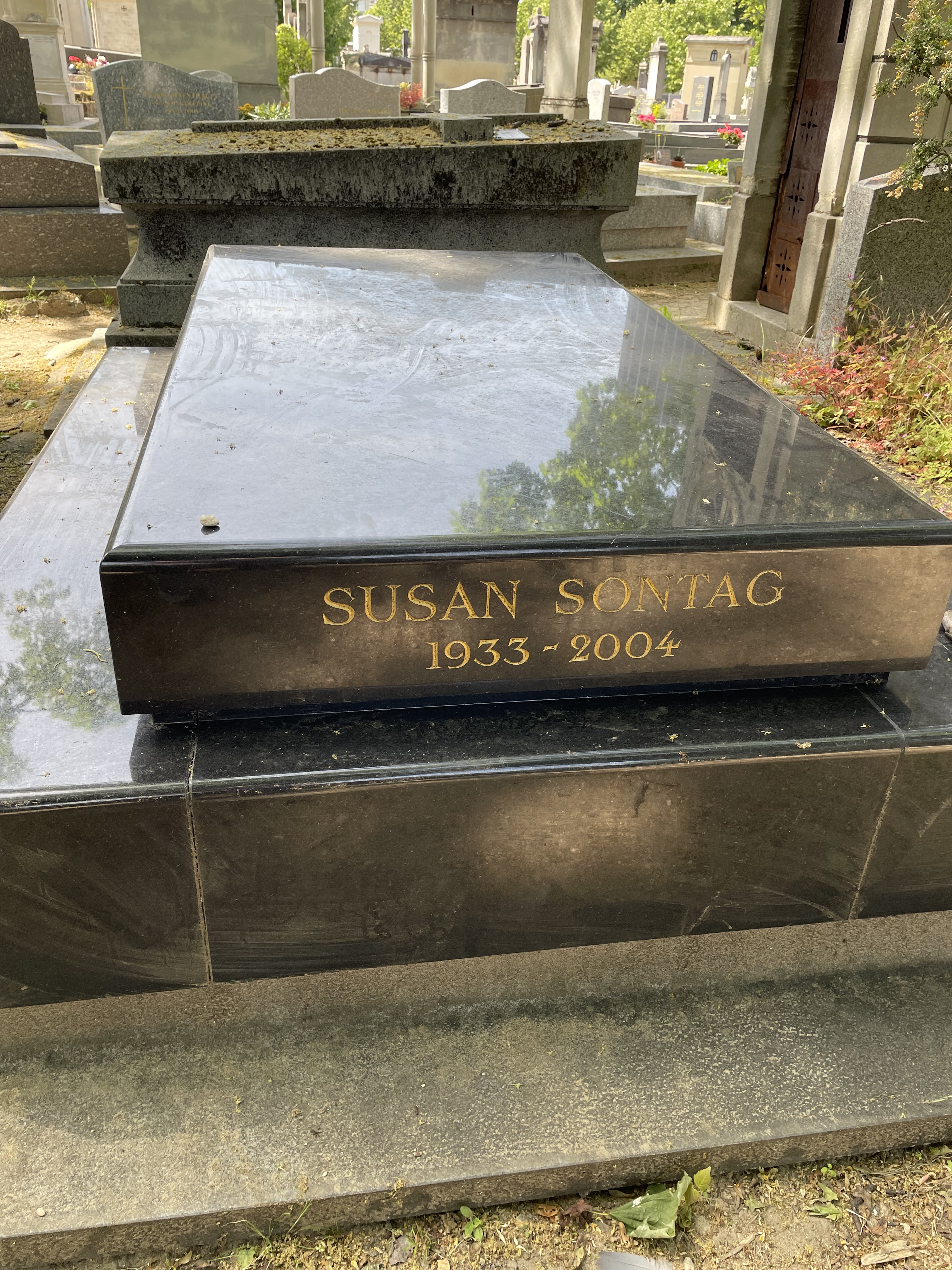 This image has an empty alt attribute; its file name is susansontag.jpeg